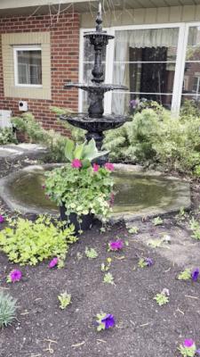 Hampton Terrace Care Centre — photo 2