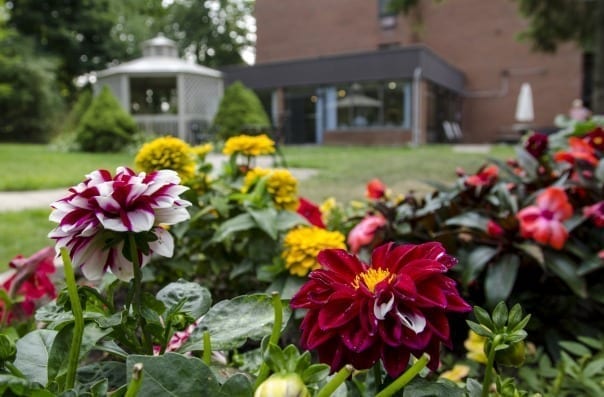Chelsey Park Retirement Community — photo 2