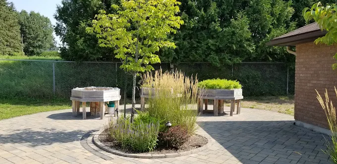 L'Oasis de la Résidence Simon — photo 3