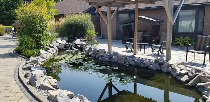 L'Oasis de la Résidence Simon — photo 2