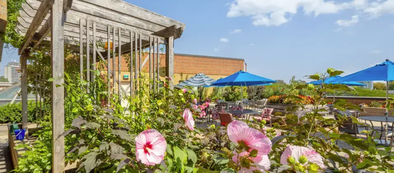 Chartwell New Edinburgh Square Retirement Residence — exterior or featured photo