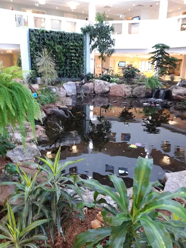 Orchard View Gardens — photo 2